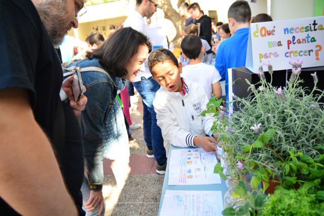 El colegio de La Concepción y el instituto de Espinardo ganan los premios Fundación Séneca del Campus de la Ingeniería - 1, Foto 1