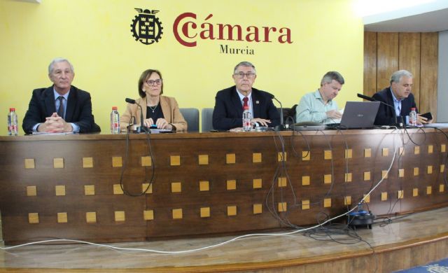 La CHS organiza dos jornadas informativas sobre el Plan Especial de Sequias de la cuenca del Segura - 2, Foto 2