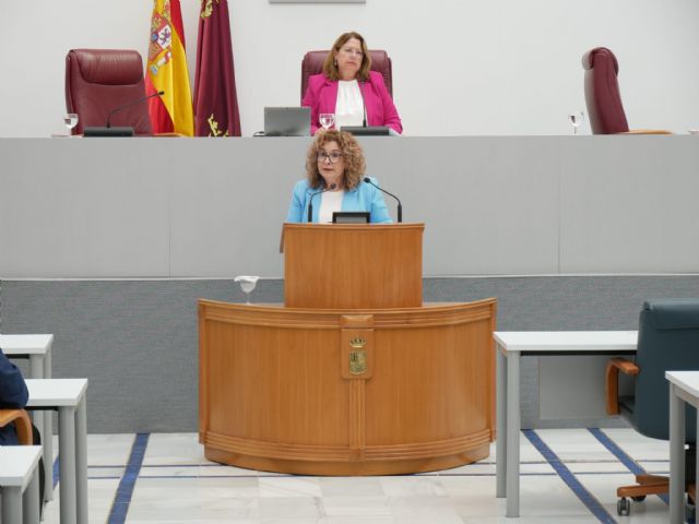 Martínez-Carrasco: El PSOE vuelve a presentar la misma propuesta de hace 4 años, con las mismas indefiniciones, sin detallar y sin rectificar una proposición que ya fue rechazada - 2, Foto 2