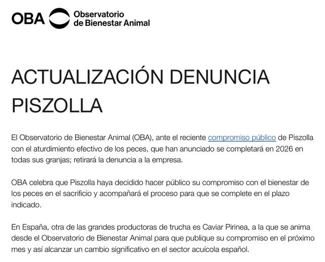 ACTUALIZACIÓN DENUNCIA, Foto 4