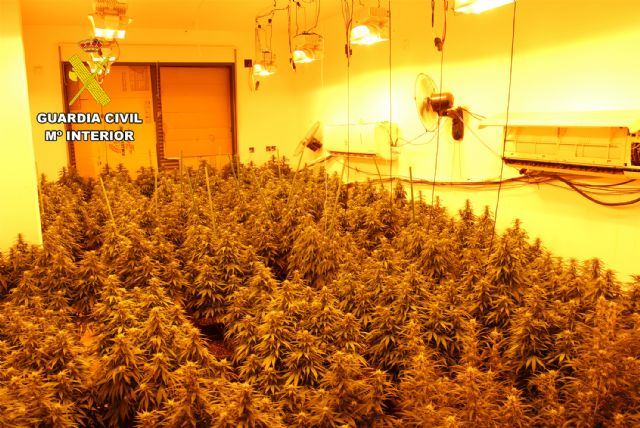 La Guardia Civil desmantela una macro plantación de marihuana instalada en un edificio ocupado en Fuente Álamo - 5, Foto 5