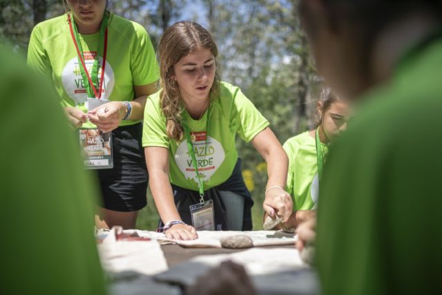 Alumnos de Murcia ganan el Concurso Nacional de Leroy Merlin Hazlo Verde - 1, Foto 1