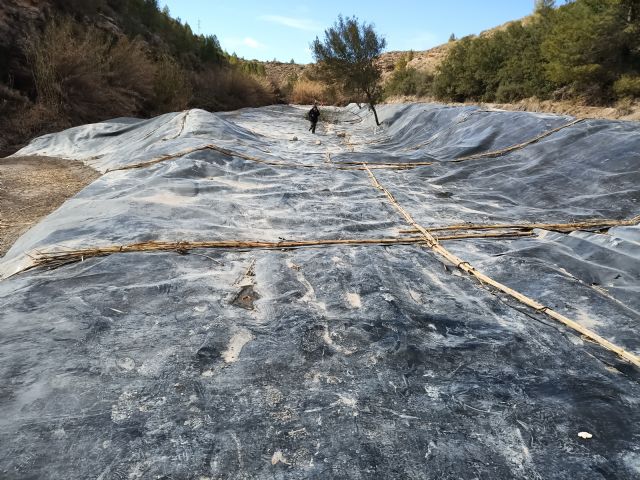 ANSE transforma la finca La Huertecica en un frondoso bosque de ribera - 5, Foto 5