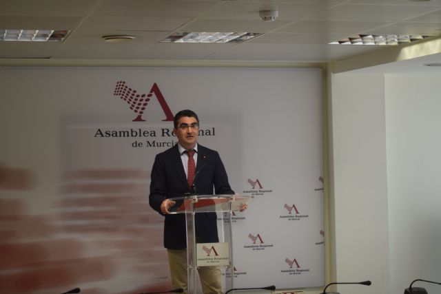 Ciudadanos lamenta que la Región esté a la cabeza en violencia de género y denuncia que la Consejería de Familia “sólo reacciona cuando se encuentra con titulares negativos” - 1, Foto 1