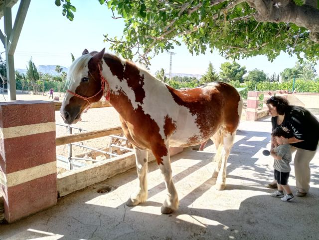 Terapia con caballos para estimular el desarrollo infantil, Foto 9