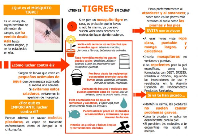 Salud difunde consejos para evitar la proliferación de mosquito tigre en la Región - 1, Foto 1