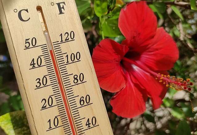 Totana registró ayer la temperatura más alta en España - 1, Foto 1