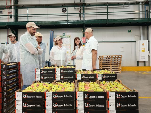 La DOP Pera de Jumilla prevé recuperar las 20.000 toneladas de producción tras dos años de inclemencias - 1, Foto 1