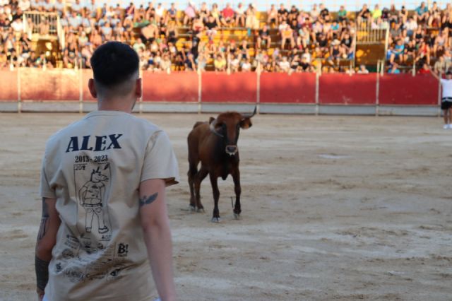 Multitudinaria suelta de vaquillas en las fiestas de Las Torres de Cotillas - 4, Foto 4