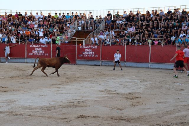 Multitudinaria suelta de vaquillas en las fiestas de Las Torres de Cotillas - 5, Foto 5