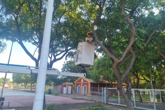 El Ayuntamiento poda y acondiciona el arbolado de la zona del campamento de Carthagineses y Romanos para dar seguridad al recinto - 1, Foto 1