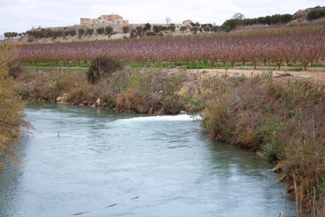 La CHS publica el contrato para redactar varios proyectos en el Área de Explotación del Regadío Tradicional - 1, Foto 1