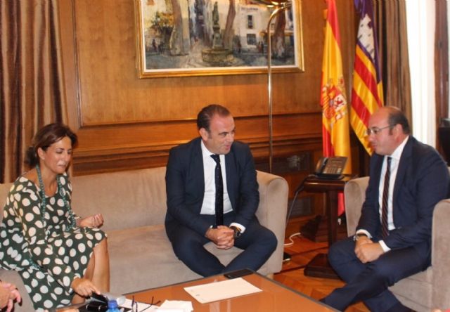 El presidente de la Comunidad se reúne con el vicepresidente ejecutivo y consejero delegado de Meliá Hotels International - 1, Foto 1