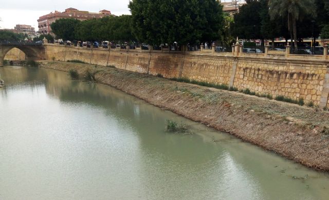 La Confederación Hidrográfica detecta la presencia de hidrocarburos, plaguicidas, fungicidas y pesticidas en el tramo urbano del Segura - 1, Foto 1