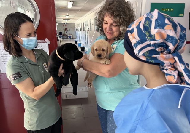 Los perros guía de la ONCE cumplen el deseo de Alba, una niña con cáncer - 3, Foto 3