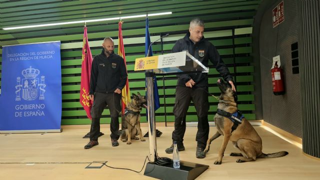 El delegado del Gobierno destaca la eficacia del protocolo de comunicación de movimientos penitenciarios urgentes para reducir las agresiones por violencia de género - 1, Foto 1