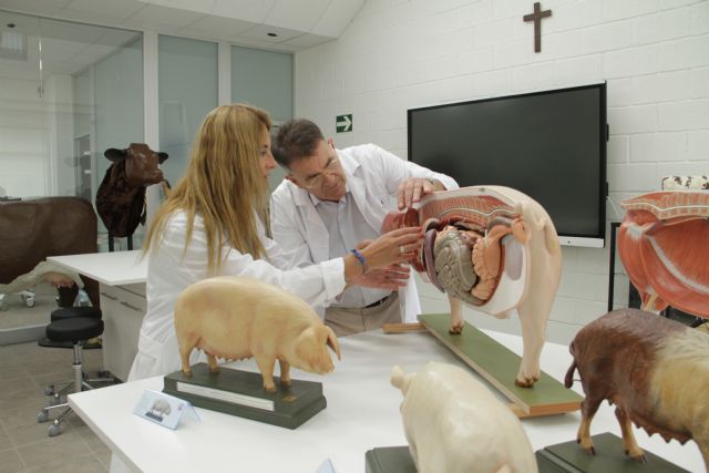 La UCAM comenzará las clases de Veterinaria la próxima semana - 1, Foto 1