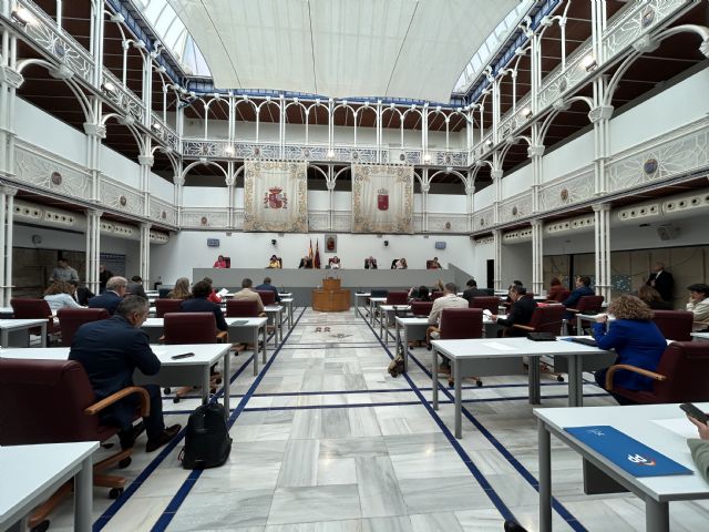 El Pleno de la Asamblea Regional aprueba una Declaración Institucional sobre los talleres de RENFE en Águilas - 1, Foto 1