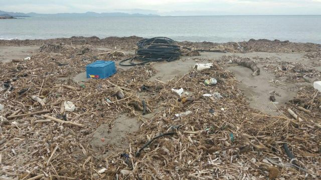 Podemos A qué espera el Gobierno Regional para evitar que se desangre el Parque Regional de Cabo Cope y Puntas de Calnegre - 1, Foto 1