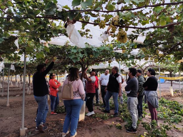 Finaliza con un gran éxito nuestro curso de poda parral - 1, Foto 1