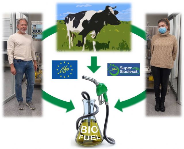 La UMU participa en la producción de un nuevo biodiesel mejorado a partir de subproductos animales - 1, Foto 1