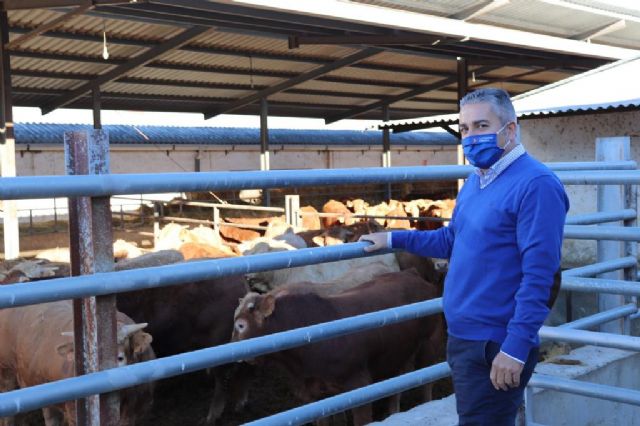 Cano: El PPRM apoya la España rural y pide que no se desprecie a agricultores, ganaderos y pescadores - 1, Foto 1