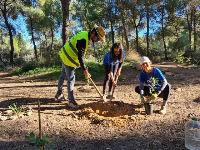 Empresas que plantan árboles: upProject colabora en la regeneración del Parque Regional El Valle y Carrascoy - 2, Foto 2