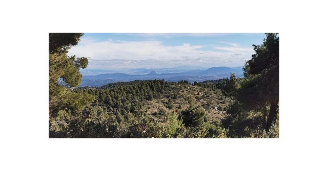 Cehegín conmemorará el Día Internacional de los Bosques con actividades que pretenden concienciar y poner en valor nuestro Patrimonio Natural - 1, Foto 1