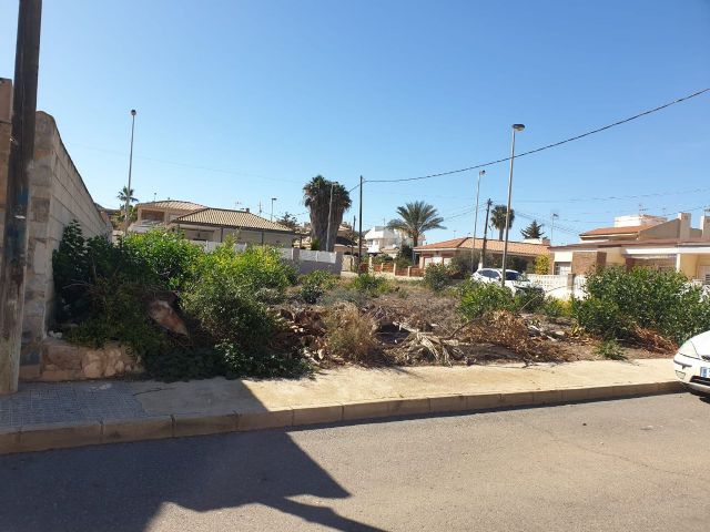 Las playas de Los Urrutias y Los Nietos se encuentran en estado de shock - 4, Foto 4