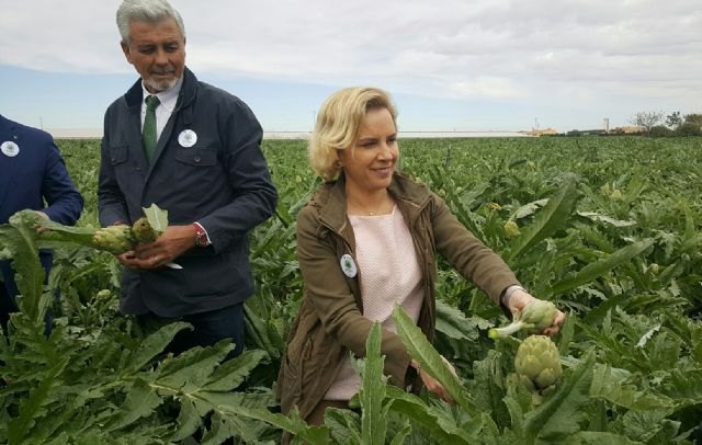 La Región de Murcia acoge el 50 por ciento de la producción de alcachofa de España - 1, Foto 1