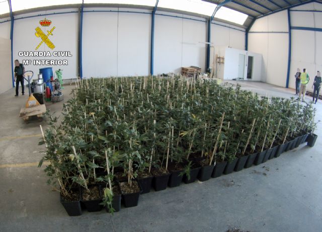 La Guardia Civil desmantela una organización criminal dedicada al cultivo y venta de marihuana - 1, Foto 1