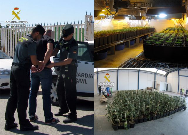 La Guardia Civil desmantela una organización criminal dedicada al cultivo y venta de marihuana - 4, Foto 4