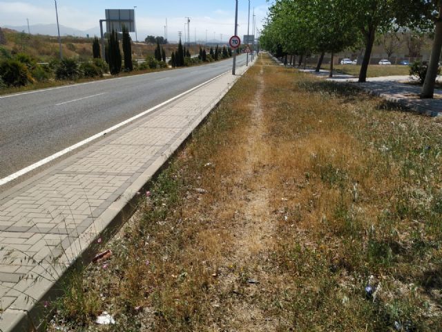 Proponen un paseo y carril bici en la Avenida Victor Beltri - 4, Foto 4