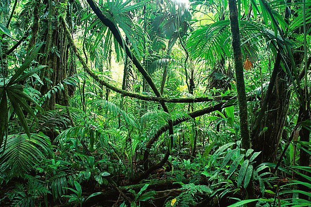 22 de abril: Día Mundial de la Tierra - 1, Foto 1