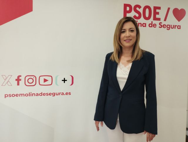 EL PSOE exige medidas para favorecer la inserción laboral y social de personas con autismo y con discapacidad intelectual - 1, Foto 1