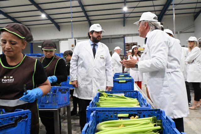 La Región de Murcia es la provincia líder en exportación de apio - 3, Foto 3