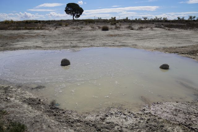 Agricultura ha llevado a cabo el llenado de balsas pluviales para reducir los daños de la fauna a los cultivos de la zona - 2, Foto 2