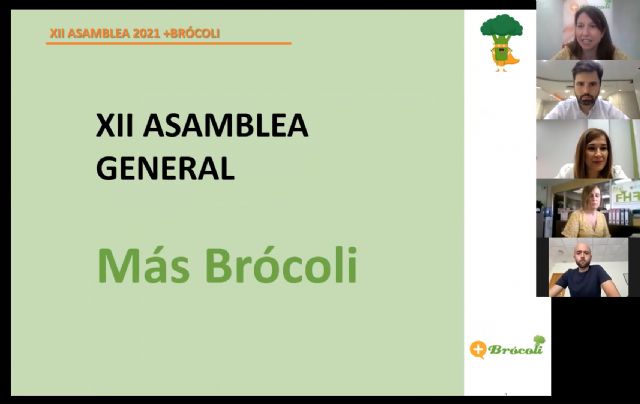 La asociación Más Brócoli celebra su XII asamblea general invitando a la unión del sector para promover el consumo de brócoli - 1, Foto 1