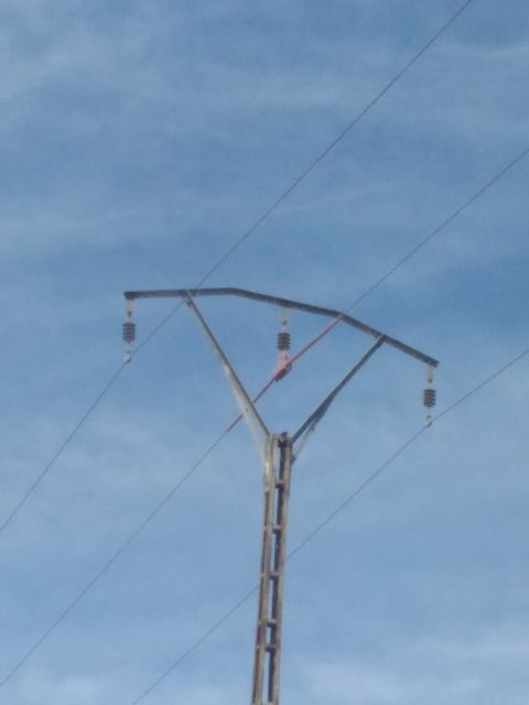 La CHS instalará medidas protectoras para las aves en las líneas eléctricas del postrasvase Tajo-Segura - 1, Foto 1