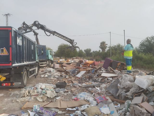 El Ayuntamiento retira en La Azacaya más de 15 toneladas de enseres y voluminosos - 3, Foto 3