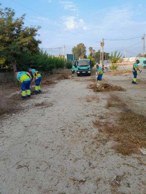 El Ayuntamiento retira en La Azacaya más de 15 toneladas de enseres y voluminosos - 4, Foto 4