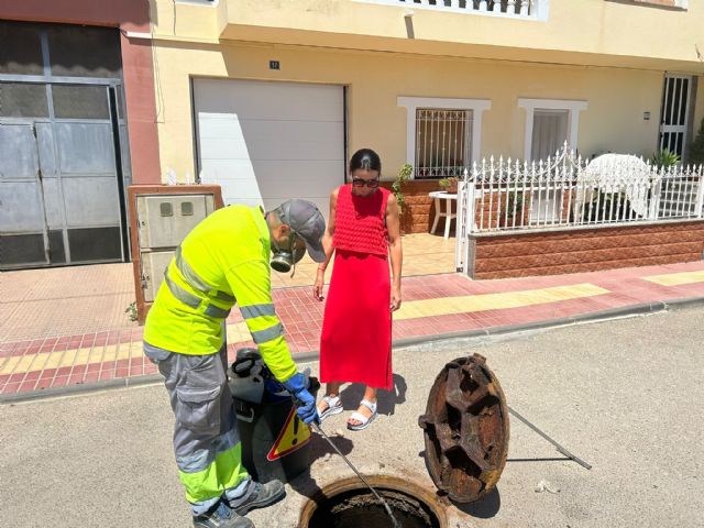 El Ayuntamiento de Puerto Lumbreras refuerza las labores de control de plagas para evitar la proliferación de insectos y roedores en verano - 3, Foto 3