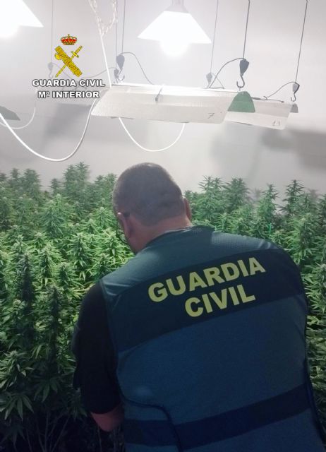 La Guardia Civil desmantela una plantación con cerca de 400 plantas de marihuana en un piso de Santomera - 1, Foto 1