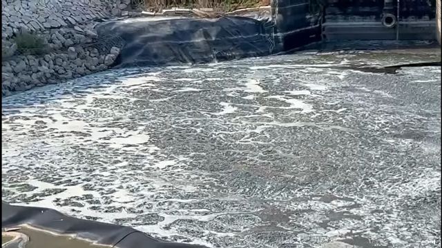 El PSOE pide a la alcaldesa de Alhama que acte ya ante los problemas de salud que est generando el lago de Condado, Foto 1