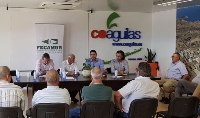 El consejero Antonio Luengo mantiene un encuentro con la Federación de Sociedades Agrarias Cooperativas de la Región de Murcia - 1, Foto 1