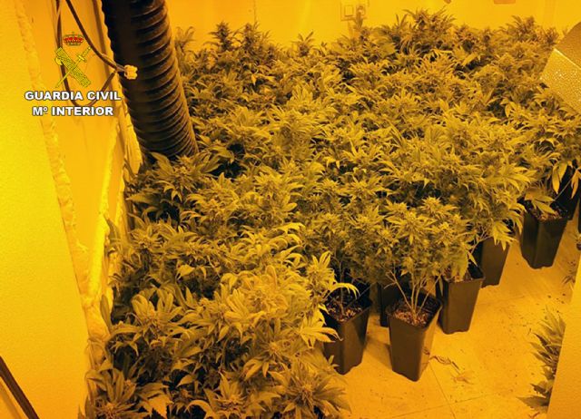 La Guardia Civil desmantela en Murcia una plantación indoor de marihuana y detiene a su responsable - 1, Foto 1