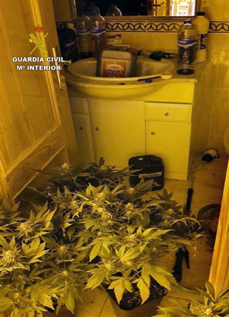 La Guardia Civil desmantela en Murcia una plantación indoor de marihuana y detiene a su responsable - 4, Foto 4