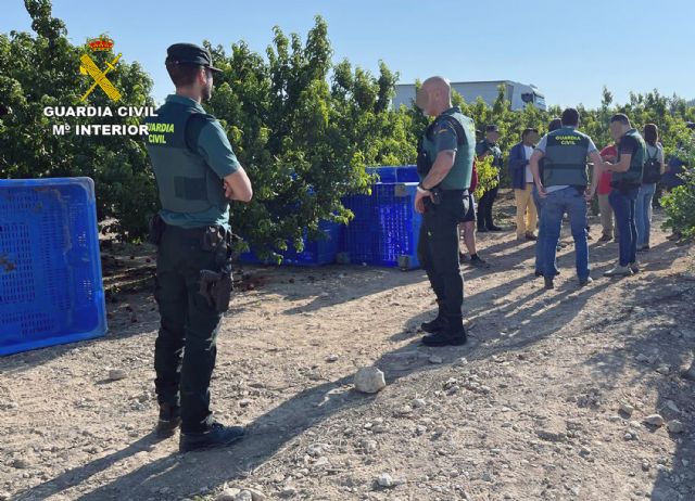 La Guardia Civil inspecciona cerca de una treintena de explotaciones agrícolas y detiene/investiga a 16 personas por emplear a trabajadores extranjeros de forma irregular - 1, Foto 1