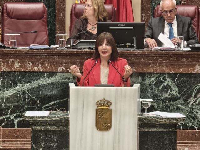 El PSOE saca adelante una iniciativa que obliga al Gobierno regional a poner en marcha, en un plazo máximo de 6 meses El PSOE saca adelante una iniciativa que obliga al Gobierno regional a poner en marcha, en un plazo máximo de 6 meses