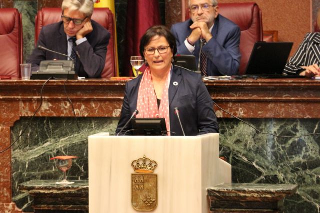 El Grupo Parlamentario Socialista saca adelante una moción para elaborar una Ley de Renta Garantizada que sustituirá a la actual Renta Básica de Inserción - 1, Foto 1